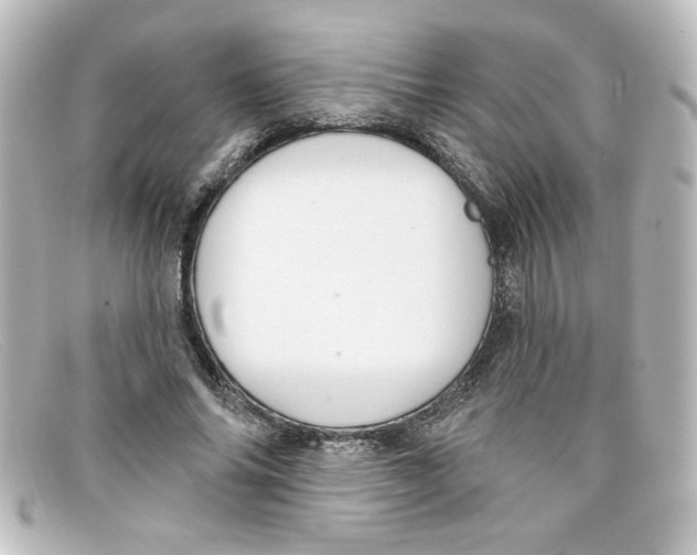 X0000098130686200805080959
