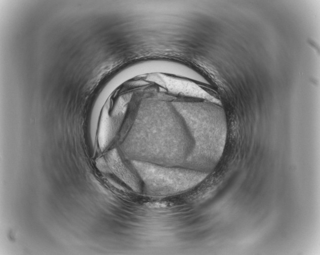 X0000098130687200805080959