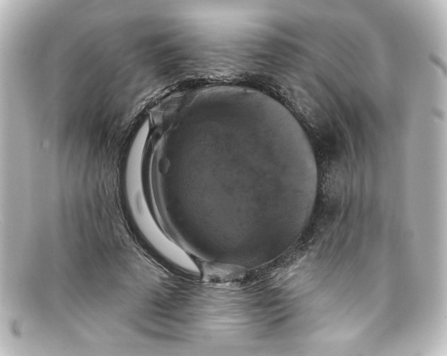 X0000098130689200805080959