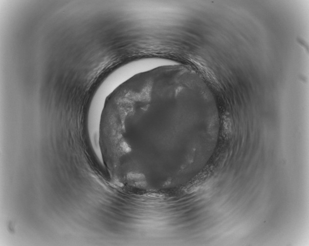 X0000098130691200805080959