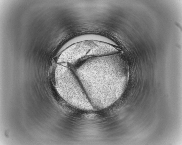 X0000098130695200805080959