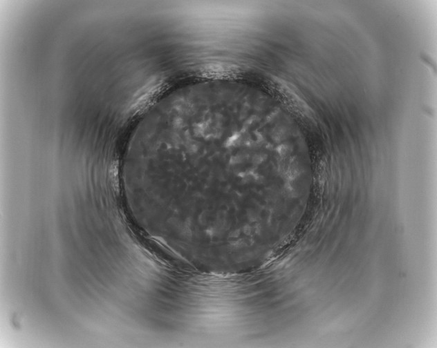 X0000098130696200805080959