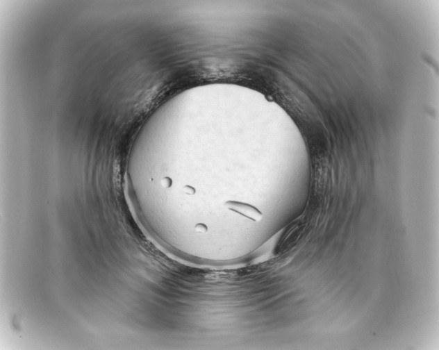 X0000098130700200805080958