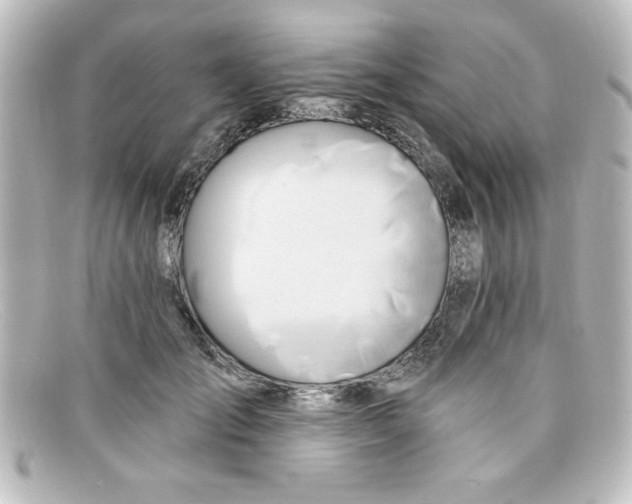 X0000098130701200805080958