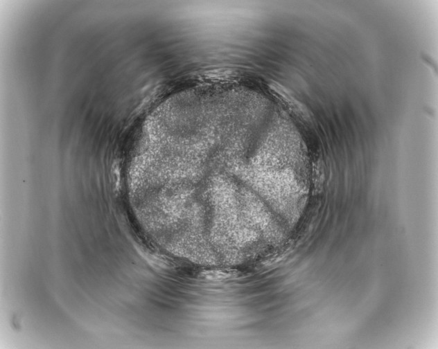 X0000098130703200805080958