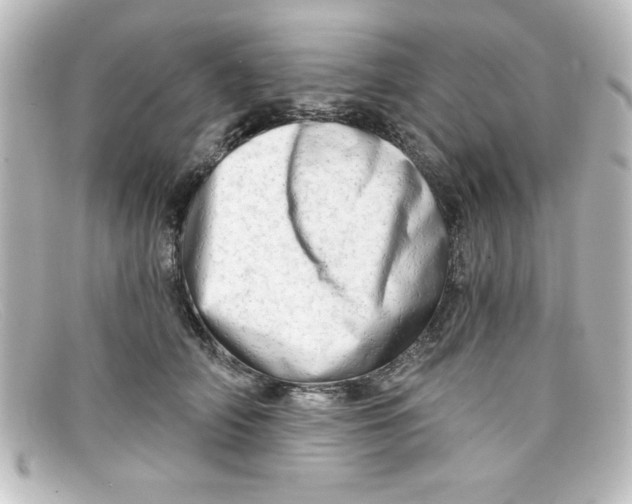 X0000098130706200805080958