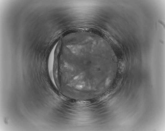 X0000098130707200805080958