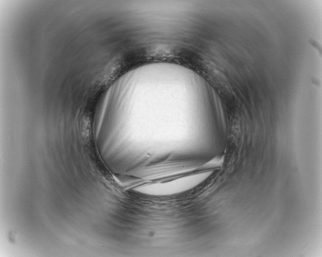 X0000098130708200805080958