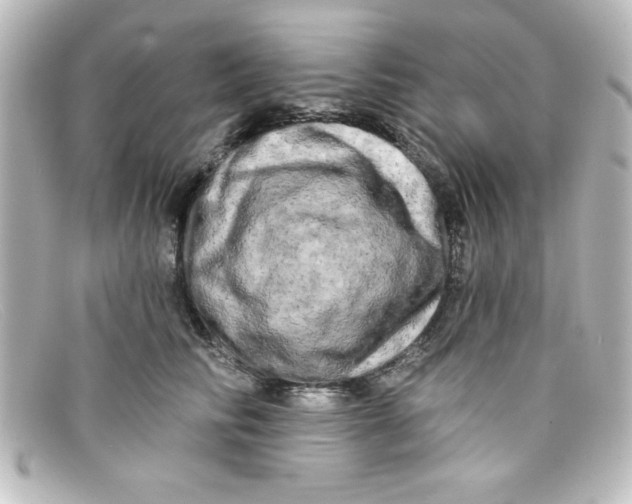 X0000098130710200805080958