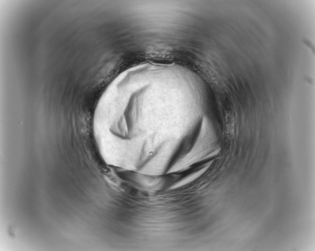 X0000098130712200805080958