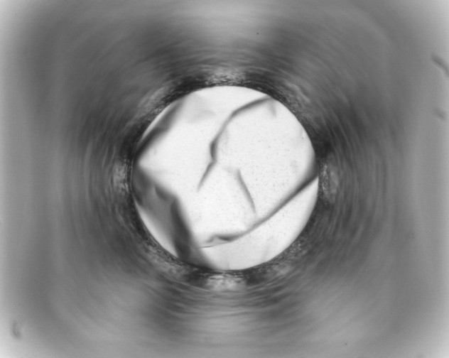 X0000098130714200805080958