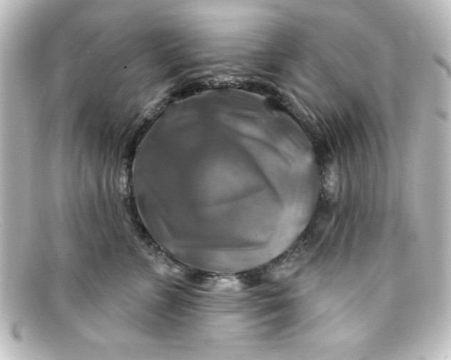 X0000098130715200805080958