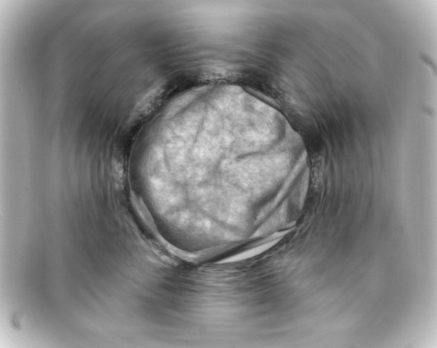 X0000098130716200805080958