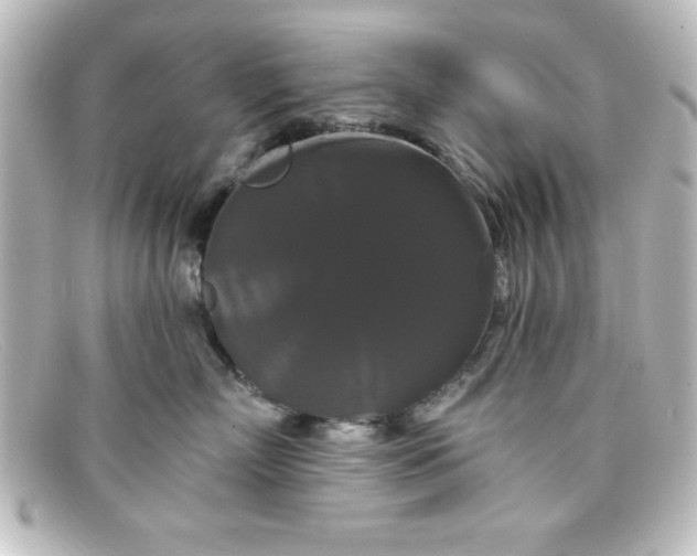 X0000098130718200805080958