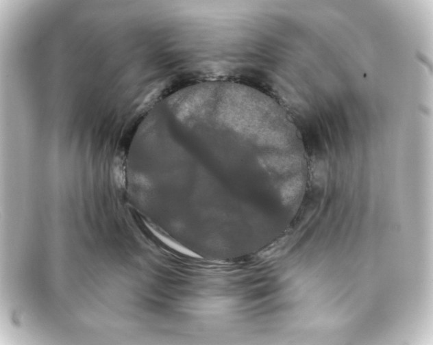 X0000098130719200805080958