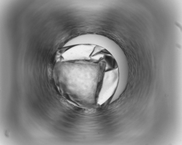X0000098130720200805080958