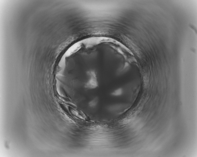 X0000098130721200805080958