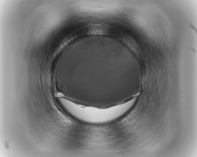 X0000098130722200805080958