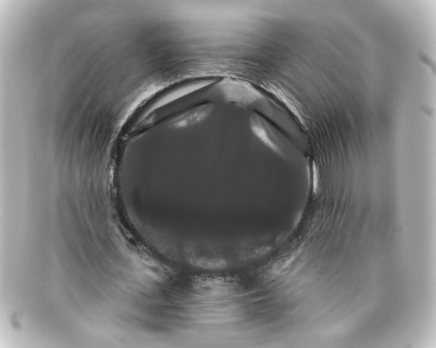 X0000098130723200805080958