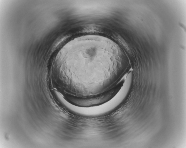 X0000098130724200805080958