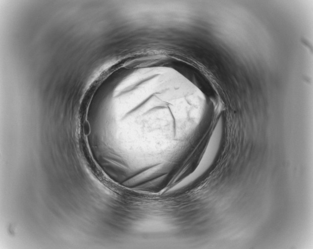 X0000098130726200805080958