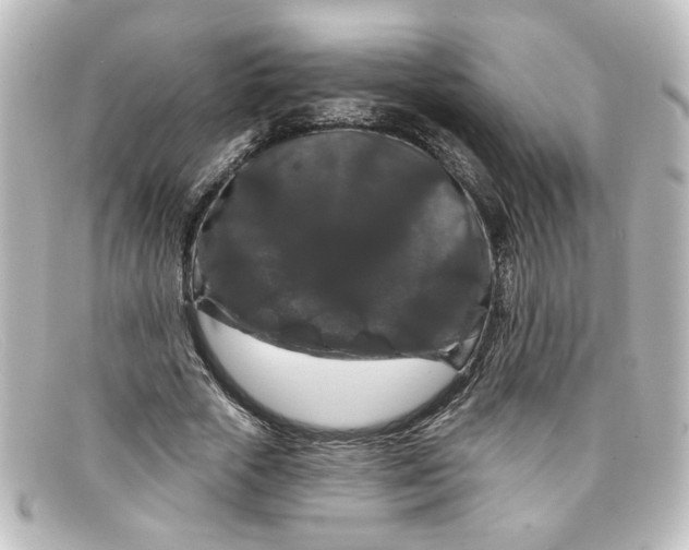 X0000098130729200805080958