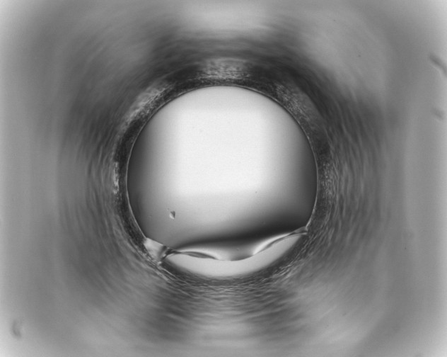 X0000098130731200805080958