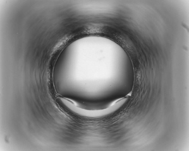 X0000098130732200805080958