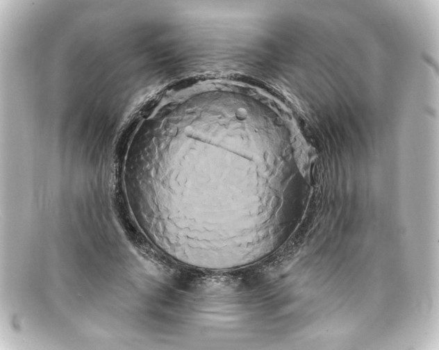 X0000098130736200805080958