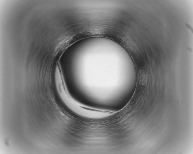 X0000098130740200805080958