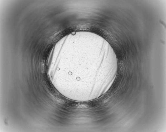 X0000098130741200805080958