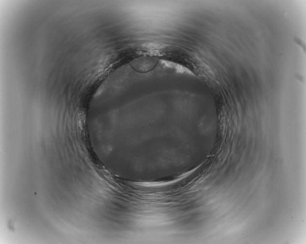 X0000098130747200805080958