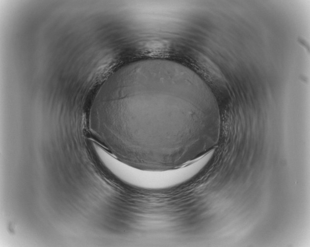 X0000098130748200805080958