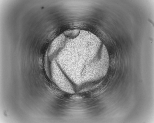 X0000098130749200805080958