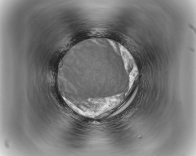 X0000098130751200805080958