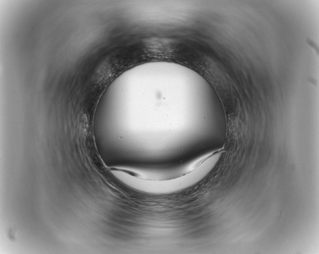 X0000098130752200805080958