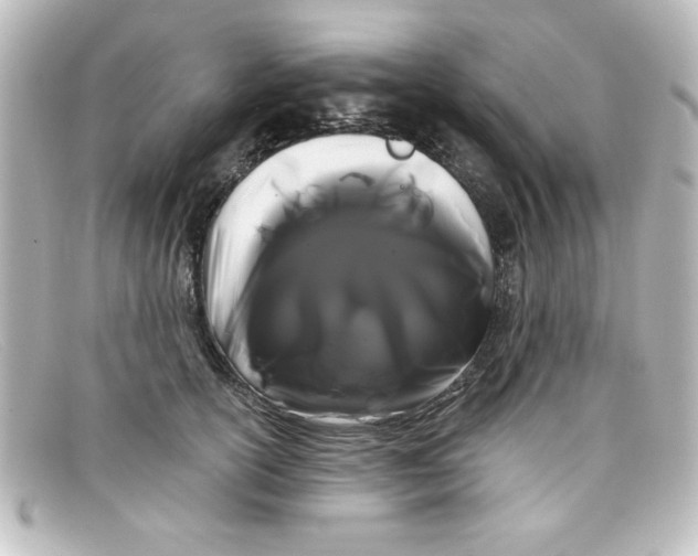X0000098130754200805080958