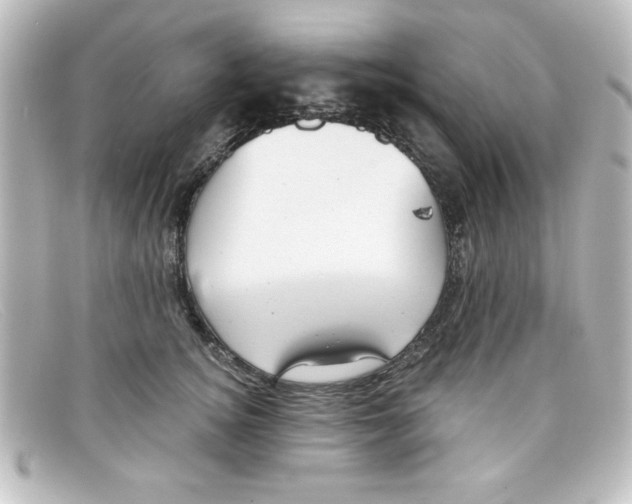 X0000098130756200805080958