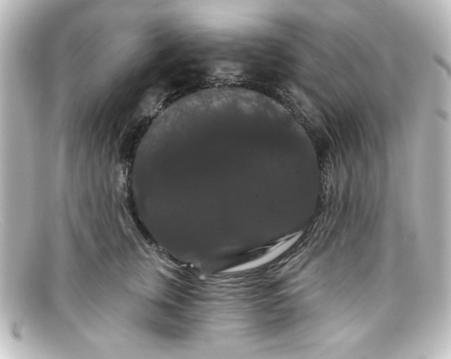 X0000098130759200805080958
