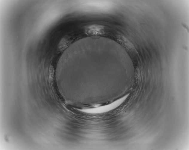 X0000098130760200805080958