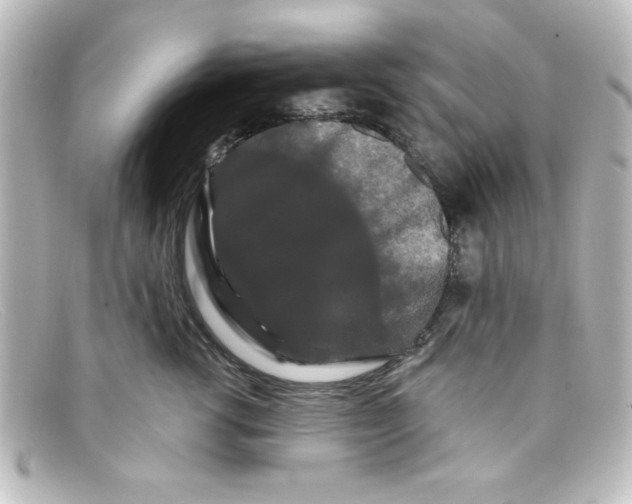X0000098130762200805080958