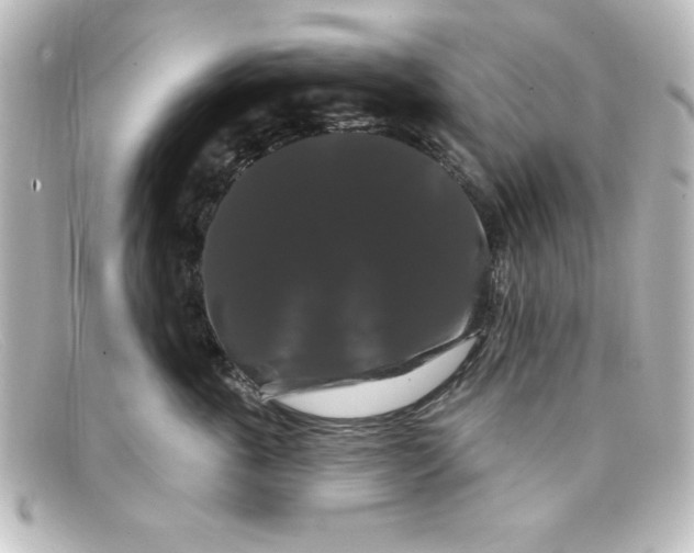 X0000098130763200805080958