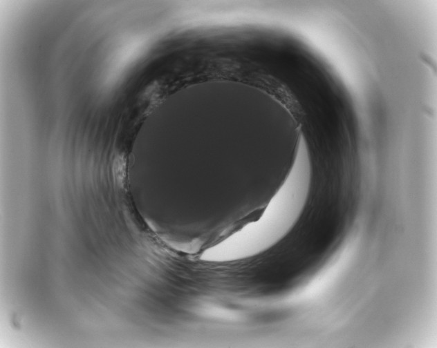 X0000098130767200805080958