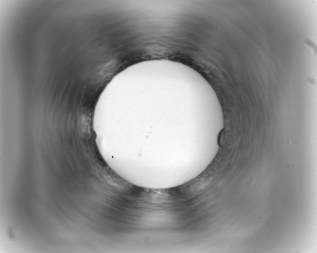 X0000098130768200805080958