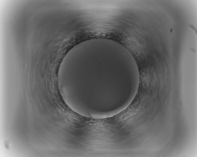 X0000098130769200805080958