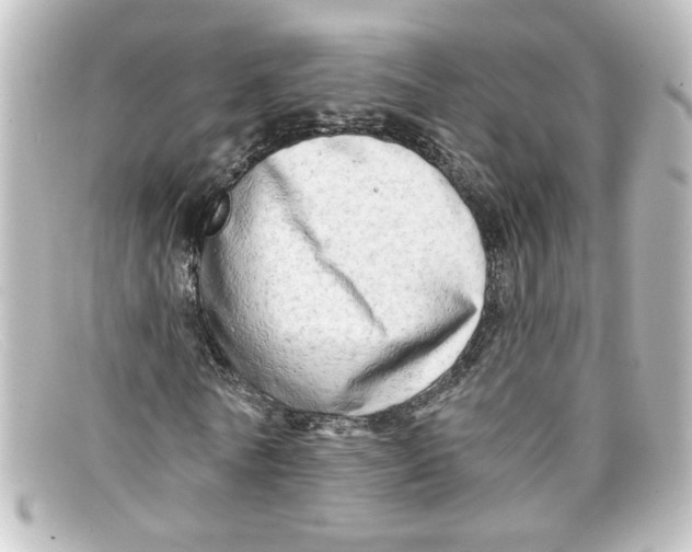 X0000098130770200805080958