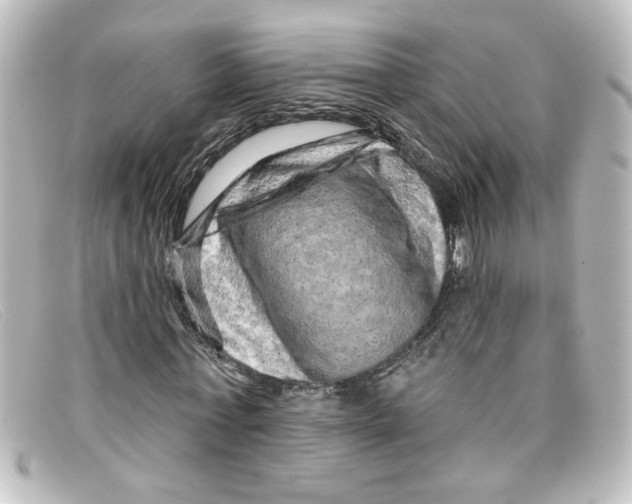 X0000098130771200805080958