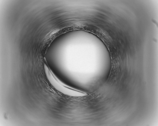 X0000098130773200805080957