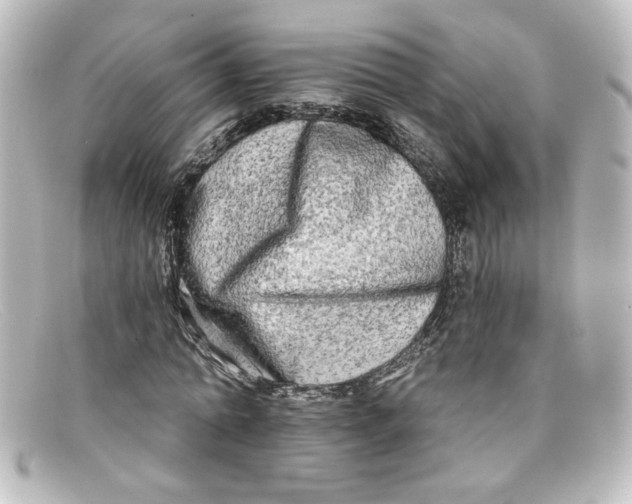 X0000098130774200805080957