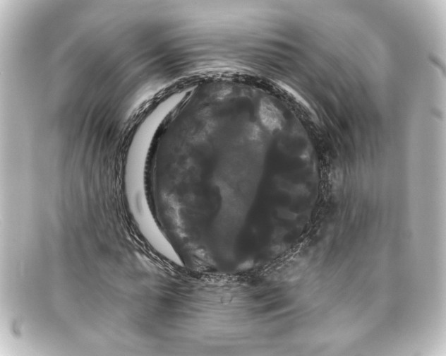 X0000098130775200805080957